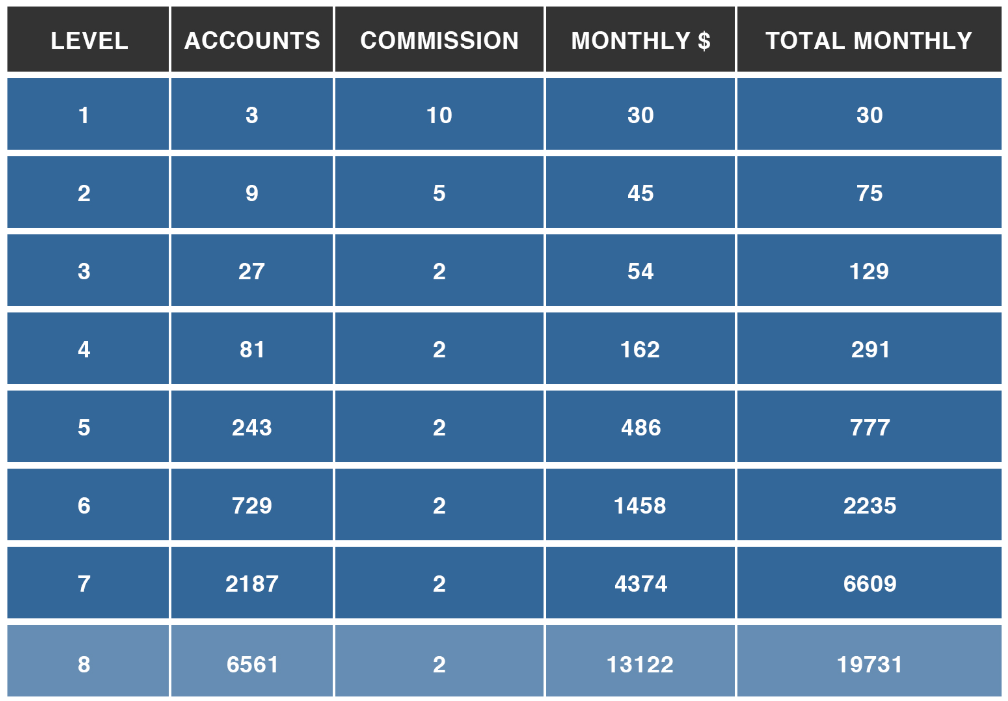 wealth step by step review