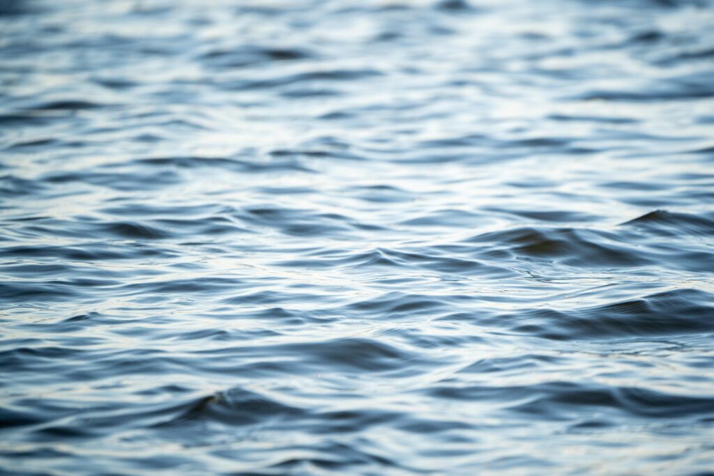 LiveGood Erfahrungen – ehrlich und jenseits von Hype
