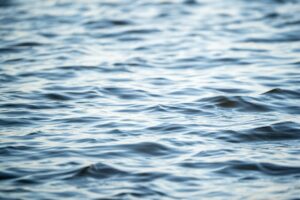 Honest LiveGood review of products and business opportunity