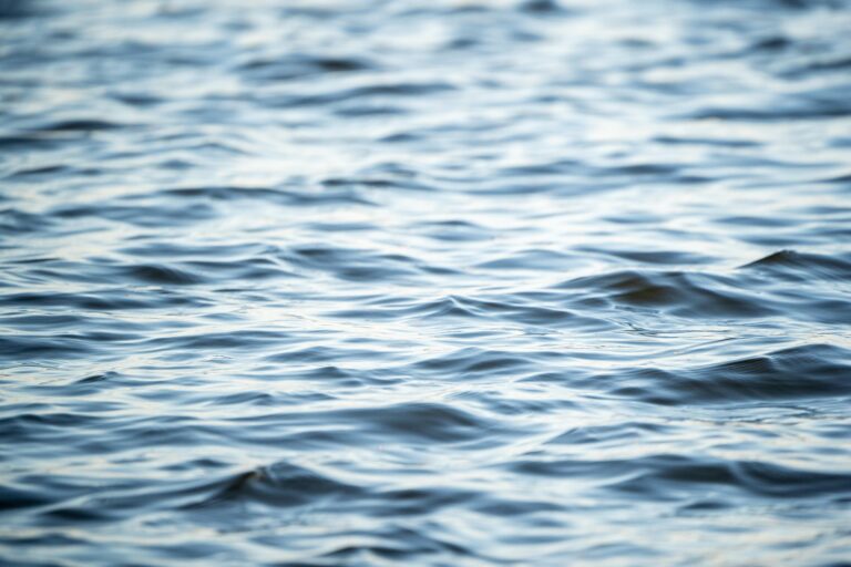 LiveGood Erfahrungen – ehrlich und jenseits von Hype