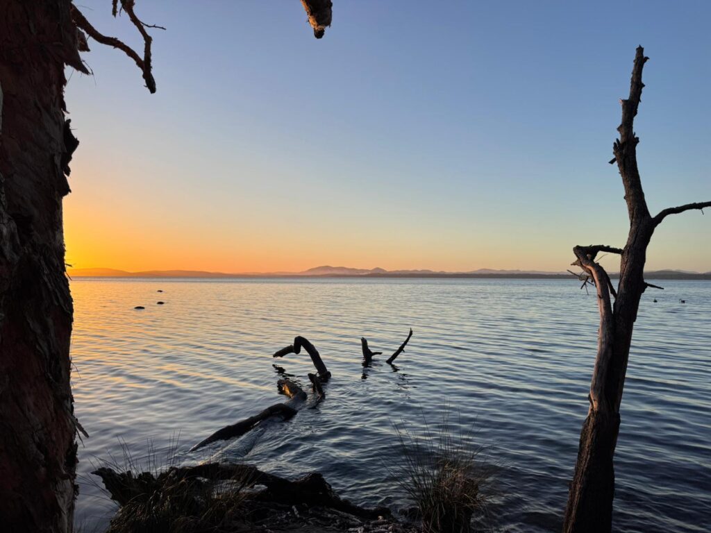 LiveGood network marketing structure explained calmly