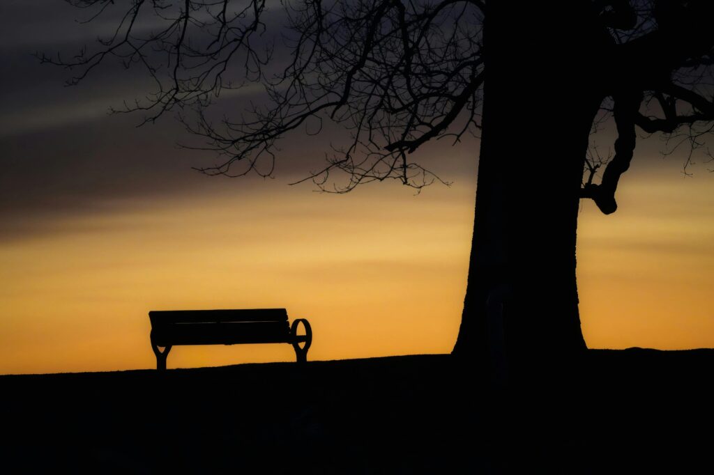 Writing and reflection during a nervous system capacity reset
