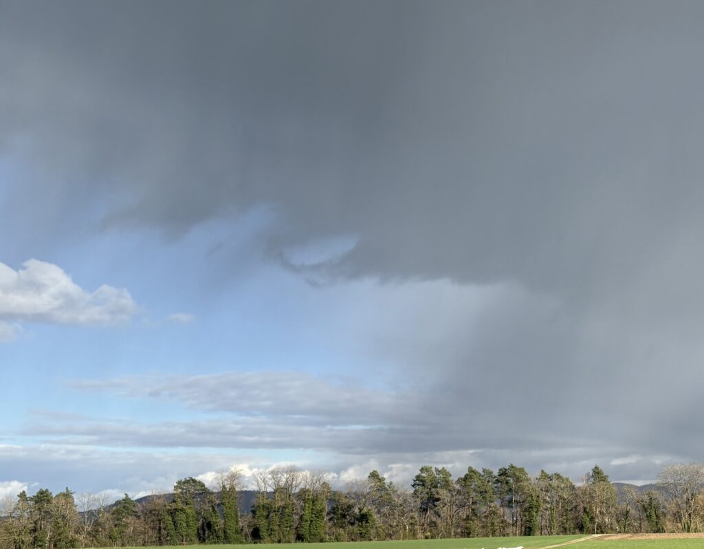 life between switzerland and australia lifestyle