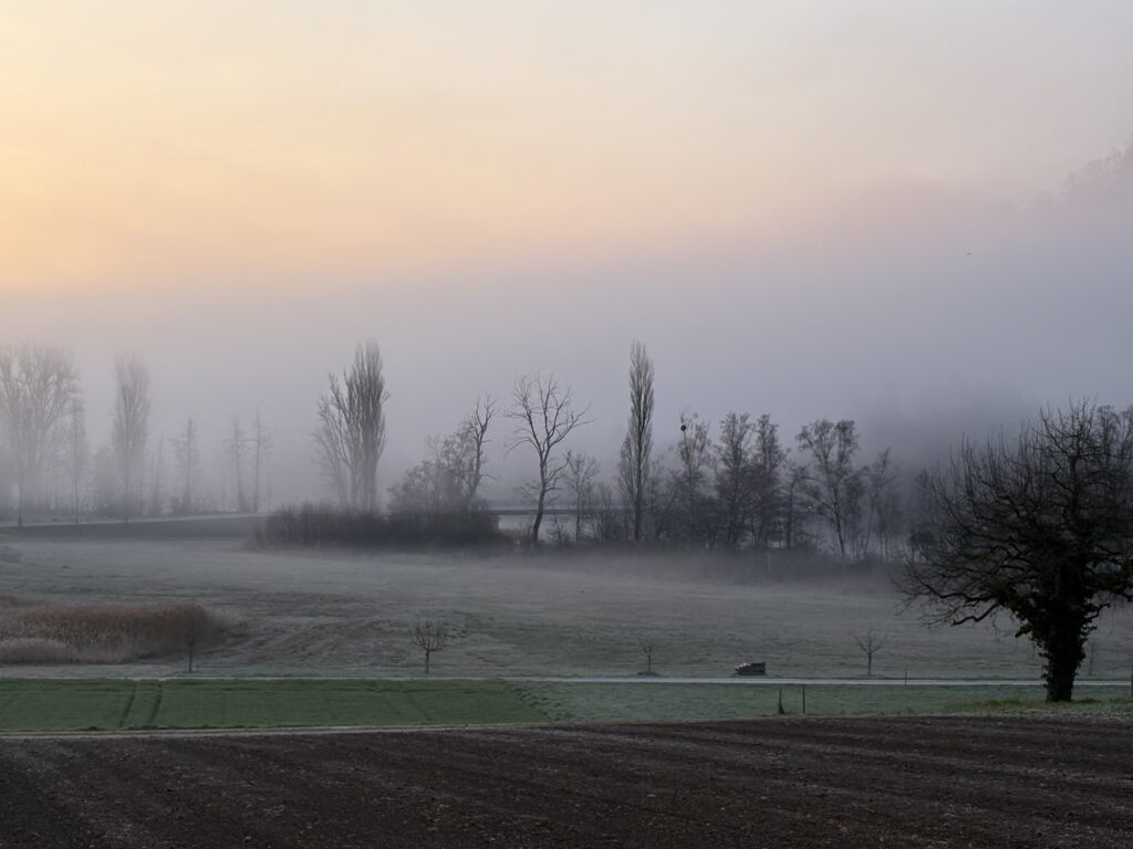 overqualified at work concept career transition and income diversification