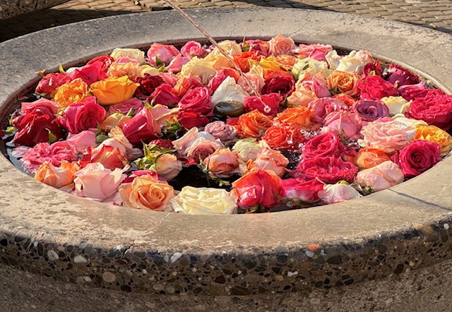 feeling overwhelmed in life — quiet moment of emotional overwhelm during an ordinary day