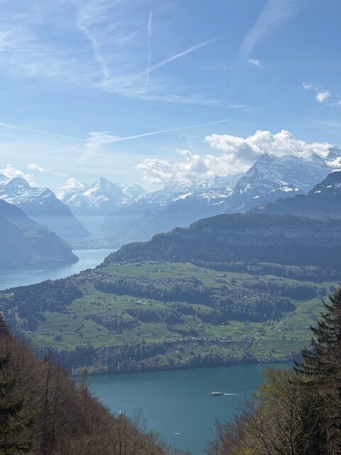 View across Lake Lucerne and the Swiss Alps, reflecting the calm, long-term perspective behind the LiveGood membership model.